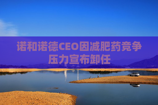 诺和诺德CEO因减肥药竞争压力宣布卸任