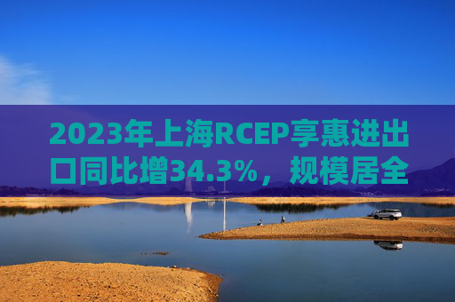 2023年上海RCEP享惠进出口同比增34.3%，规模居全国首位