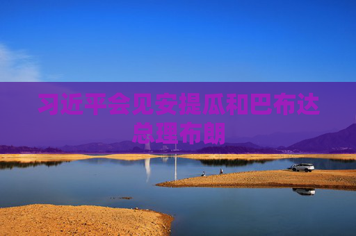 习近平会见安提瓜和巴布达总理布朗