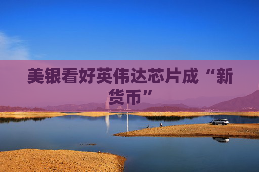 美银看好英伟达芯片成“新货币”