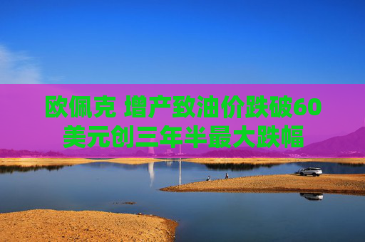 欧佩克 增产致油价跌破60美元创三年半最大跌幅