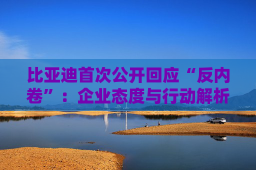 比亚迪首次公开回应“反内卷”：企业态度与行动解析