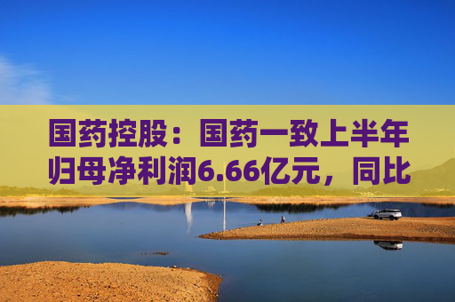 国药控股：国药一致上半年归母净利润6.66亿元，同比下降10.43%