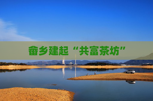 畲乡建起“共富茶坊”