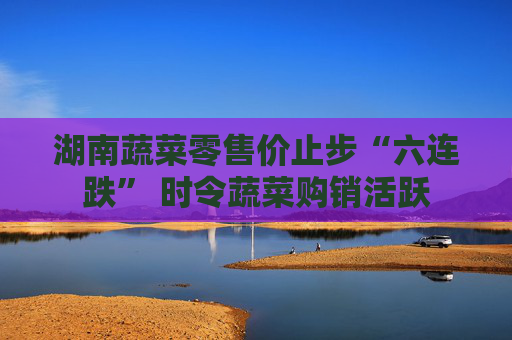 湖南蔬菜零售价止步“六连跌” 时令蔬菜购销活跃