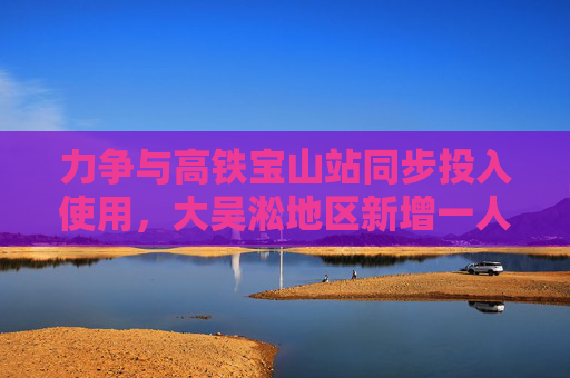 力争与高铁宝山站同步投入使用，大吴淞地区新增一人工智能生态孵化基地