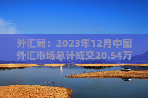外汇局：2023年12月中国外汇市场总计成交20.54万亿元人民币