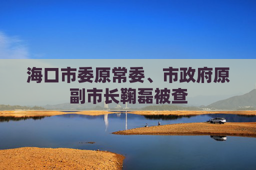 海口市委原常委、市政府原副市长鞠磊被查