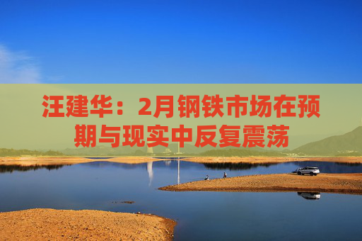 汪建华：2月钢铁市场在预期与现实中反复震荡