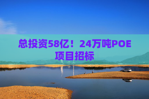 总投资58亿！24万吨POE项目招标