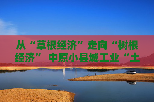 从“草根经济”走向“树根经济” 中原小县城工业“土特产”何以卖全球？