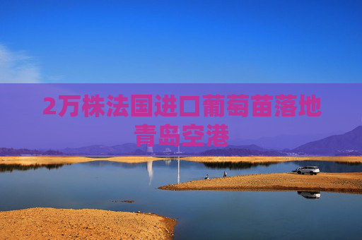 2万株法国进口葡萄苗落地青岛空港