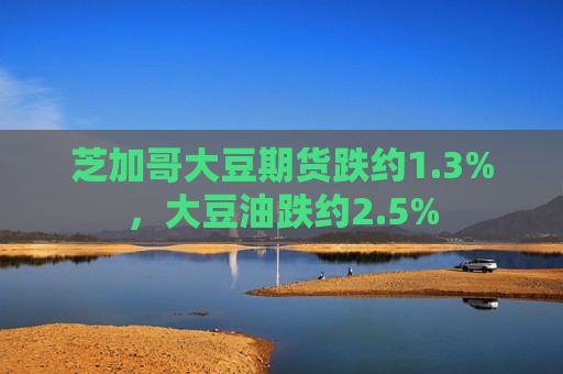 芝加哥大豆期货跌约1.3%，大豆油跌约2.5%