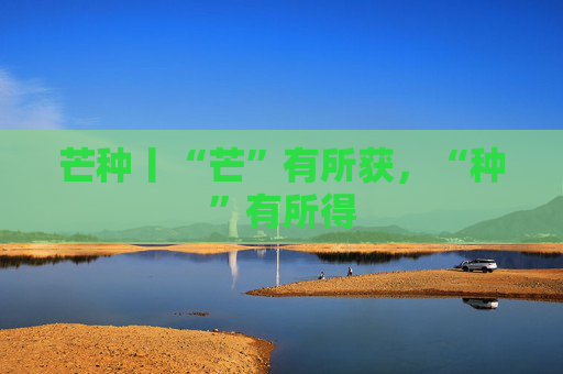 芒种丨“芒”有所获，“种”有所得