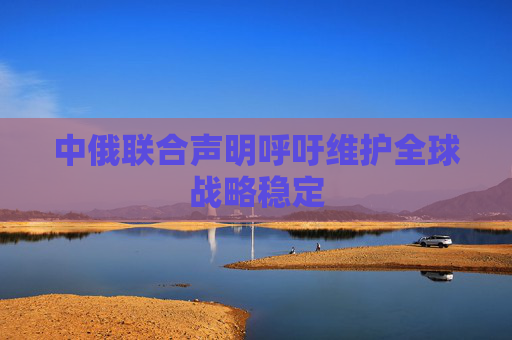 中俄联合声明呼吁维护全球战略稳定