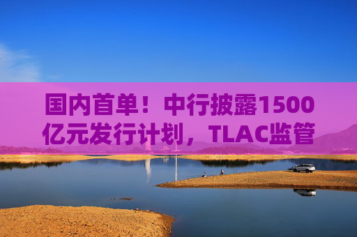 国内首单！中行披露1500亿元发行计划，TLAC监管达标之路再迈一步