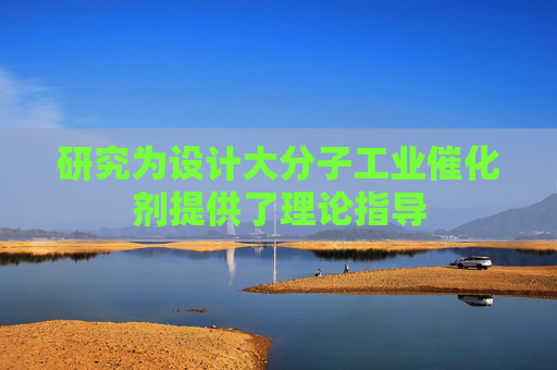 研究为设计大分子工业催化剂提供了理论指导