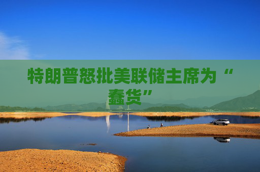 特朗普怒批美联储主席为“蠢货”
