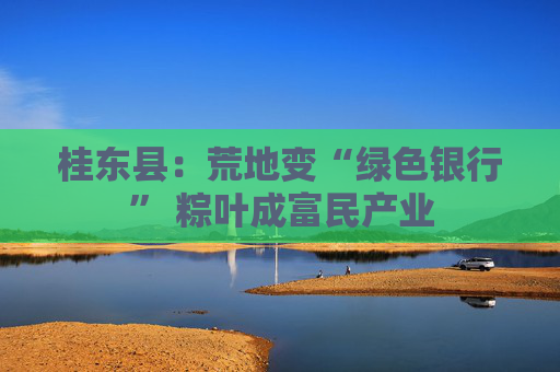 桂东县：荒地变“绿色银行” 粽叶成富民产业