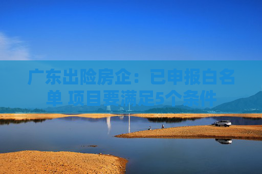 广东出险房企：已申报白名单 项目要满足5个条件