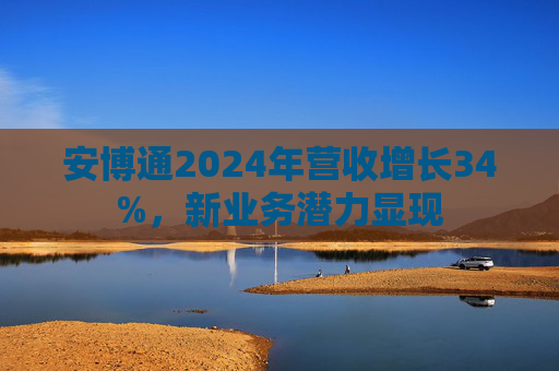 安博通2024年营收增长34%，新业务潜力显现