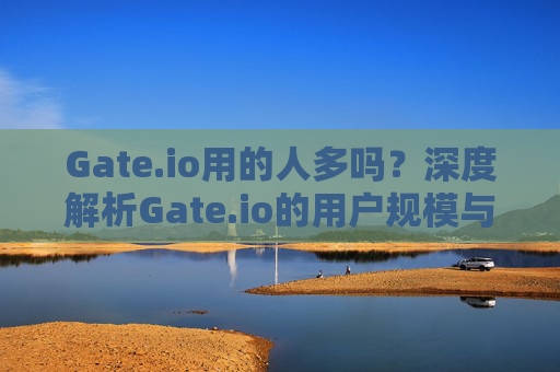 Gate.io用的人多吗？深度解析Gate.io的用户规模与市场影响力
