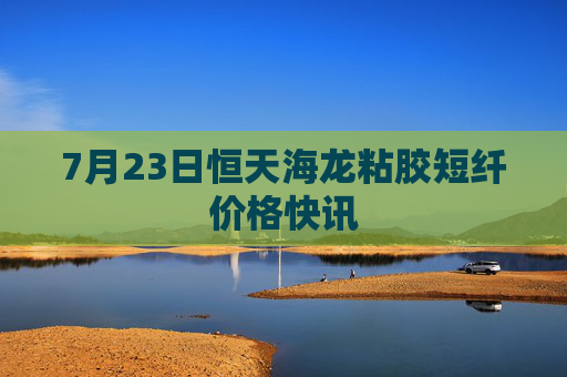 7月23日恒天海龙粘胶短纤价格快讯