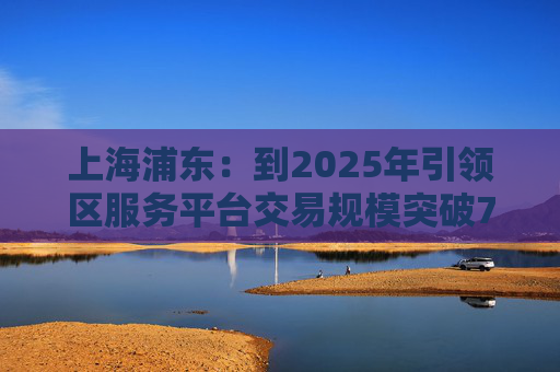 上海浦东：到2025年引领区服务平台交易规模突破7000亿元