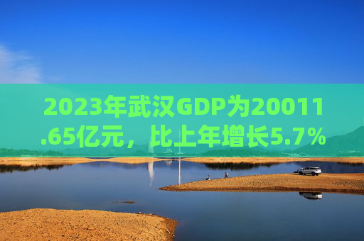 2023年武汉GDP为20011.65亿元，比上年增长5.7%