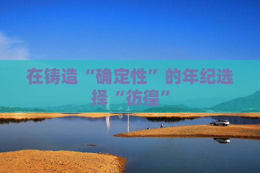 在铸造“确定性”的年纪选择“彷徨”