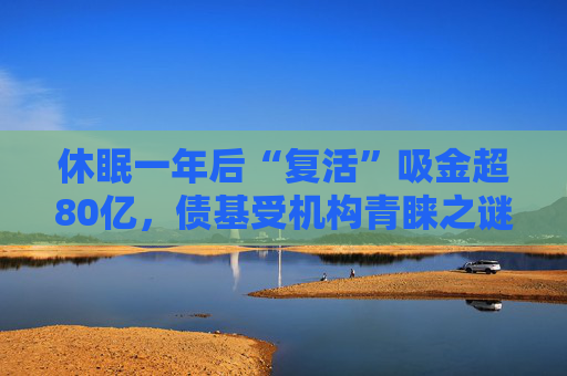 休眠一年后“复活”吸金超80亿，债基受机构青睐之谜