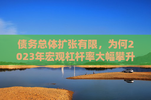 债务总体扩张有限，为何2023年宏观杠杆率大幅攀升？