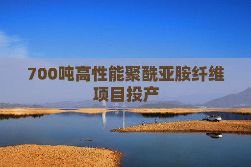 700吨高性能聚酰亚胺纤维项目投产