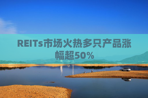 REITs市场火热多只产品涨幅超50%