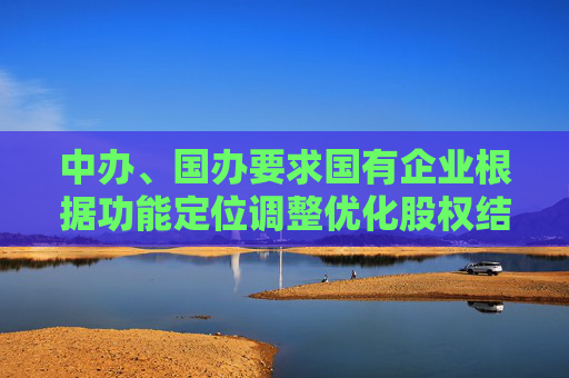 中办、国办要求国有企业根据功能定位调整优化股权结构