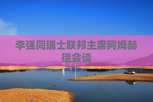 李强同瑞士联邦主席阿姆赫德会谈