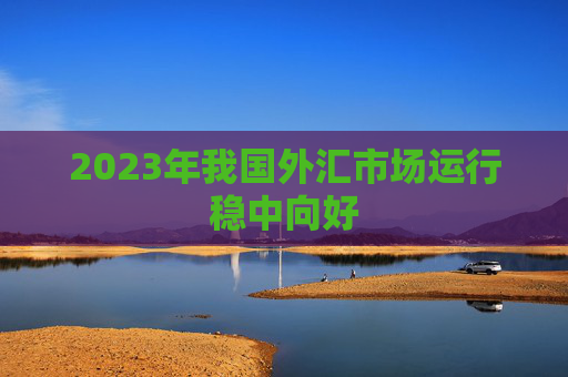 2023年我国外汇市场运行稳中向好