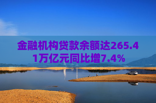 金融机构贷款余额达265.41万亿元同比增7.4%
