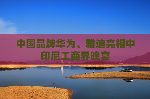 中国品牌华为、雅迪亮相中印尼工商界晚宴