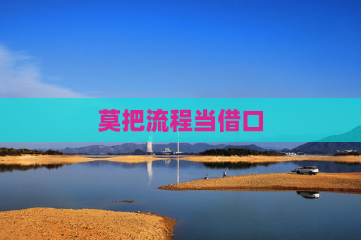 莫把流程当借口