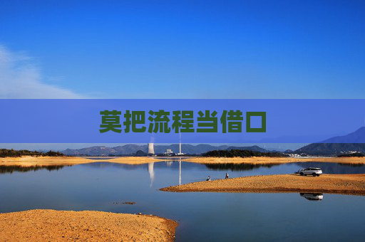 莫把流程当借口