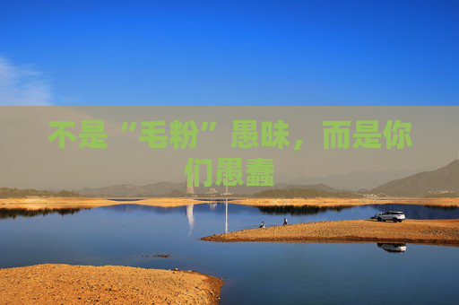 不是“毛粉”愚昧，而是你们愚蠢