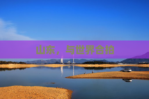 山东，与世界合拍