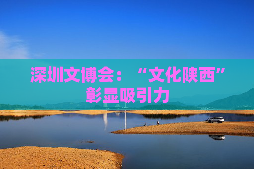 深圳文博会：“文化陕西”彰显吸引力