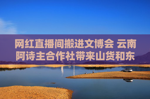 网红直播间搬进文博会 云南阿诗主合作社带来山货和东巴文化