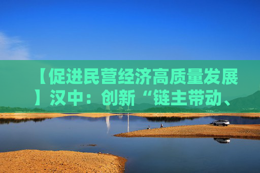 【促进民营经济高质量发展】汉中：创新“链主带动、全链协同”发展模式 破解民企成长难题