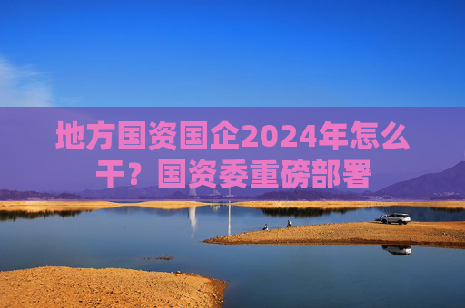 地方国资国企2024年怎么干？国资委重磅部署