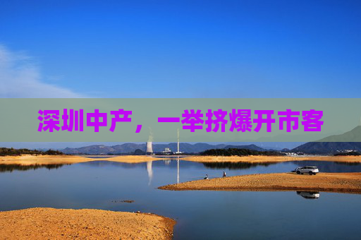 深圳中产，一举挤爆开市客