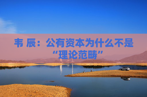韦 辰：公有资本为什么不是“理论范畴”