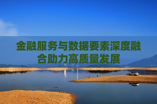 金融服务与数据要素深度融合助力高质量发展